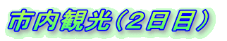 市内観光(2日目)